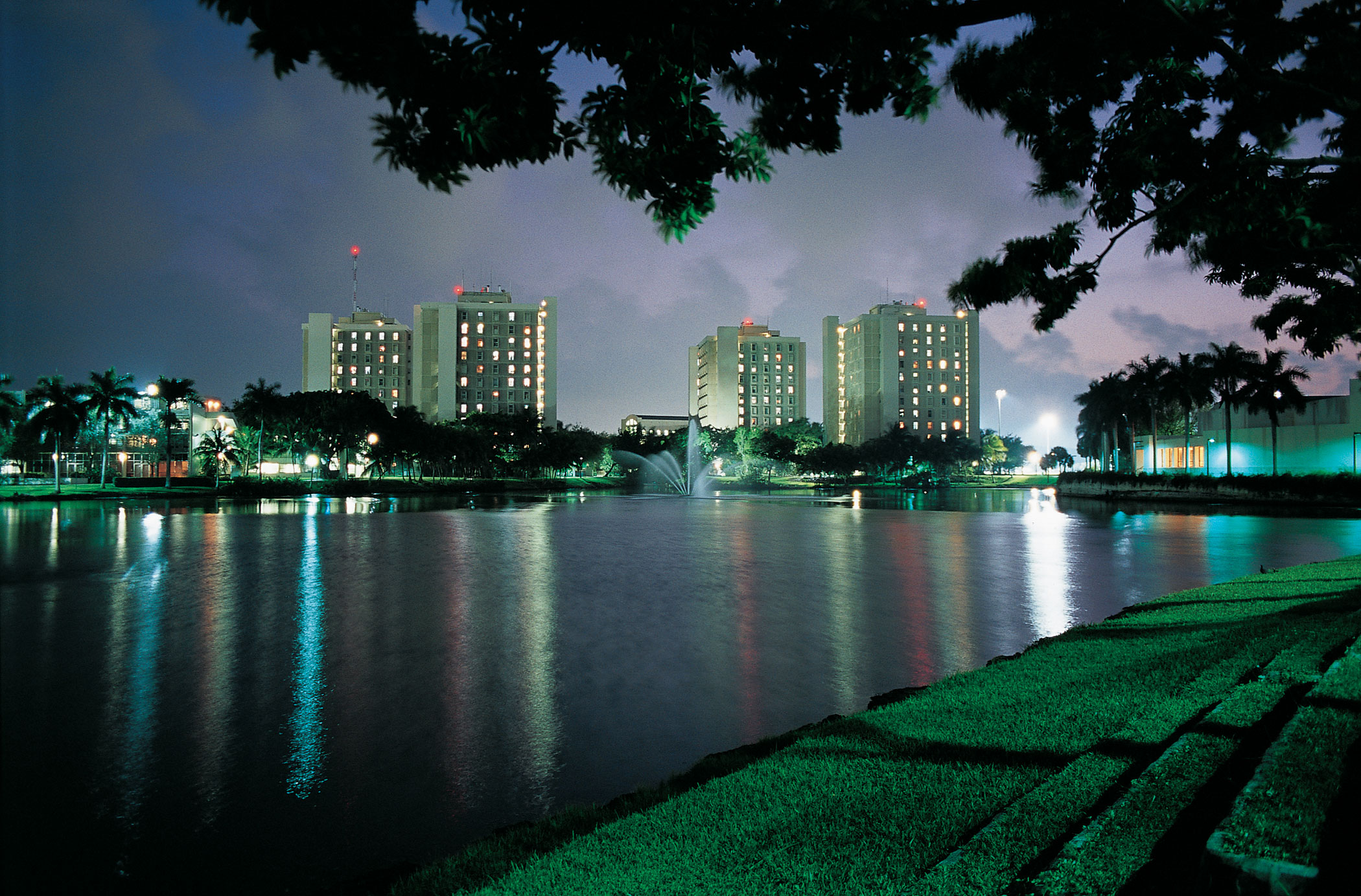 University Miami Gables Lake Night 